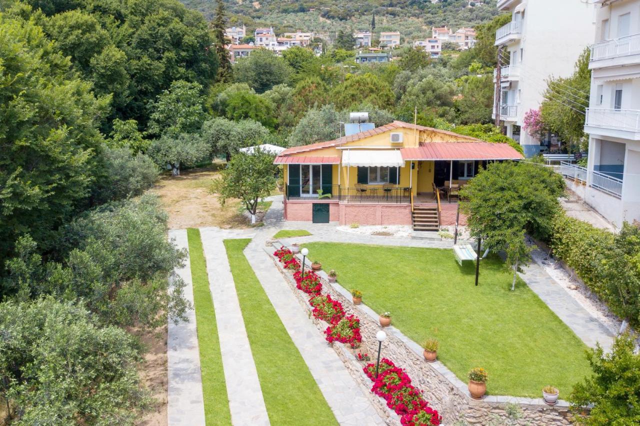 Xenophon House Villa PalaiónTsiflíkion Eksteriør billede